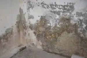 Swiss Renovation Lösung 
