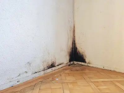 Swiss Renovation Sanierung